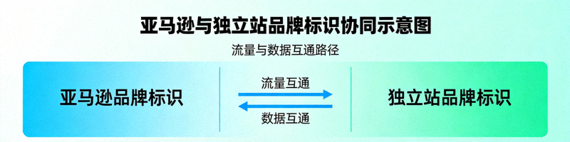 展示亚马逊与独立站品牌标识协同的图表，箭头表示流量与数据互通